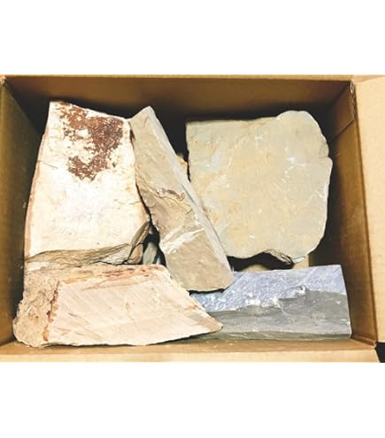 Amazon.co.jp: 天然砥石 山城銘砥 原石 奥殿 中山 大突 菖蒲谷